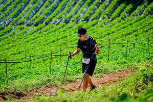 BIB: 156
                            <button type="button" onclick="openModal(19163394)" class="btn btn-primary btn-sm float-right btn-popup" data-toggle="modal" data-target=".modal-high-quality">
                        <i class="fas fa-shopping-cart"></i> Add to Cart
                    </button>
                                            <button type="button" onclick="isThisMe(19163394, true)" class="btn btn-success btn-sm float-right btn-popup btn-isme hidden" data-toggle="tooltip" data-placement="bottom" title="นี่คือรูปของคุณใช่ไหม คลิกที่นี่เพื่อเอาเข้าอัลบั้ม">
                        <i class="fas fa-plus"></i> Add to album
                    </button>
                    <button type="button" onclick="isThisMe(19163394, false)" class="btn btn-warning btn-sm float-right btn-popup btn-isnotme hidden">
                        <i class="fas fa-ban"></i> Remove from album
                    </button>